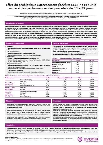 Evonik - Poszter (2019)