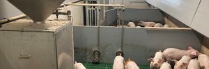 pork.stations.items.title-5